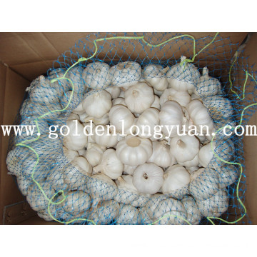 White Color Good Quality Pure White Garlic